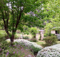 Naturescape - Darwin Holiday