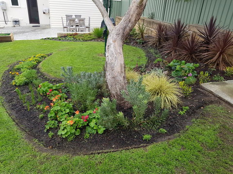 Spencer Cottage - Darwin Holiday 2
