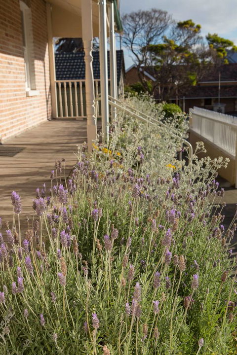 Spencer Cottage - Darwin Holiday 11