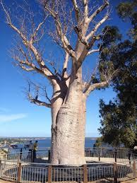 Dunes Scarborough Beach - Darwin Holiday 35