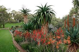 Dunes Scarborough Beach - Darwin Holiday 34