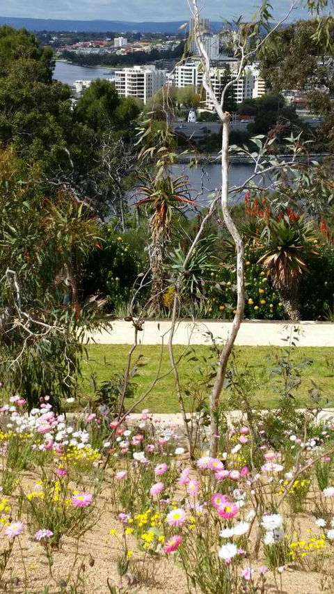 Dunes Scarborough Beach - Darwin Holiday 43