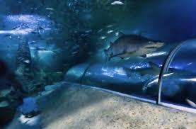 Dunes Scarborough Beach - Darwin Holiday 29