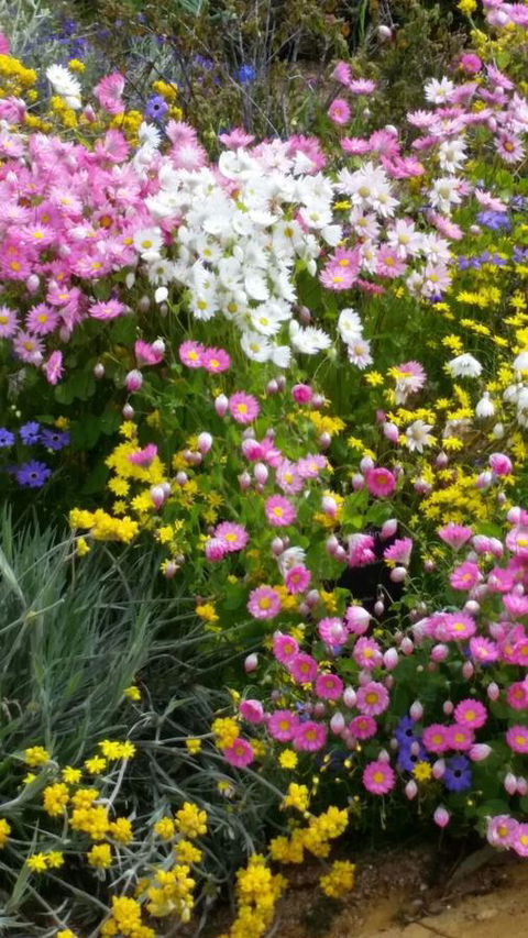 Dunes Scarborough Beach - Darwin Holiday 44