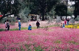 Dunes Scarborough Beach - Darwin Holiday 36