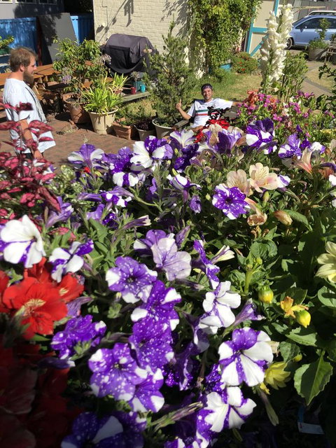 1849 Backpackers Albany - Darwin Holiday 15