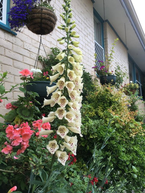 1849 Backpackers Albany - Darwin Holiday 32