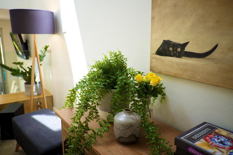 Cottesloe Artist's Beach Retreat - Darwin Holiday 26