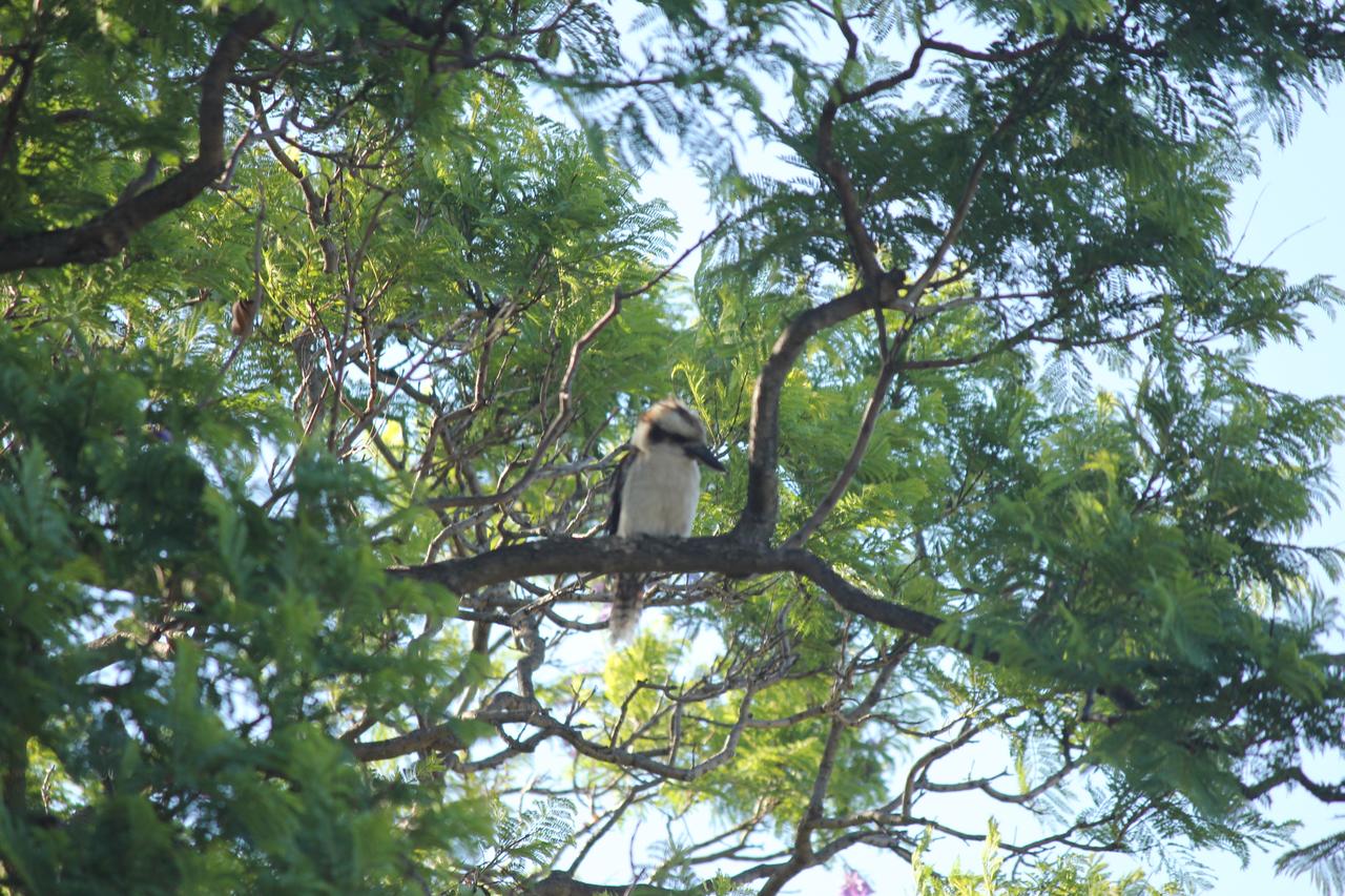 South Guildford WA Darwin Holiday