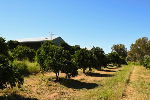 Swan Valley Sisters - Darwin Holiday 29