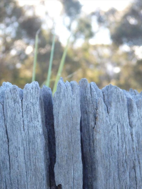 Swan Valley Sisters - Darwin Holiday 28