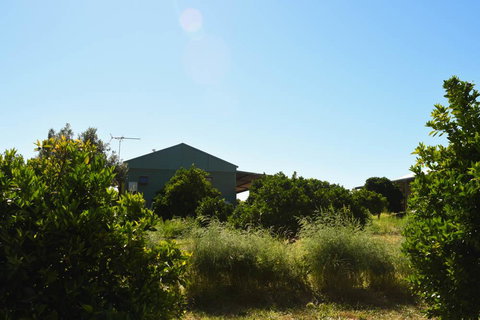 Swan Valley Sisters - Darwin Holiday 27