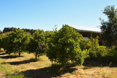 Swan Valley Sisters - Darwin Holiday 30
