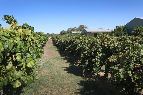 Swan Valley Sisters - Darwin Holiday 9