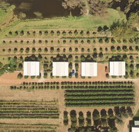 Swan Valley Sisters - Darwin Holiday