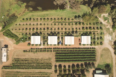 Swan Valley Sisters - Darwin Holiday 0