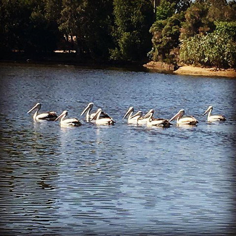 Swan Valley Sisters - Darwin Holiday 31