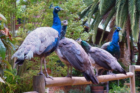 Margaret River Hideaway & Farmstay - Darwin Holiday 19
