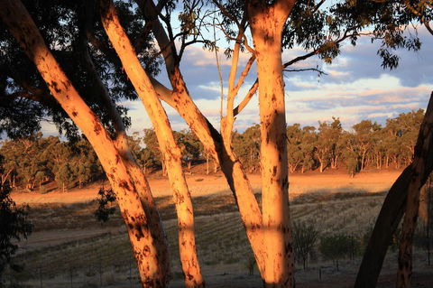 Hotham Ridge Estate - Darwin Holiday 30