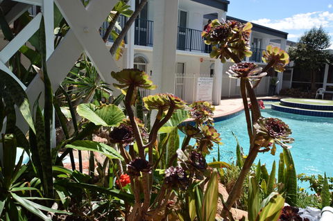 Seashore Memories - Sleeps 3 - Darwin Holiday 14