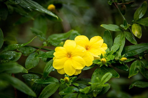 Riverglen Chalets - Darwin Holiday 44