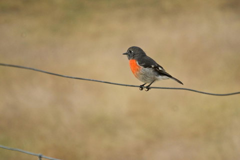 Riverglen Chalets - Darwin Holiday 43