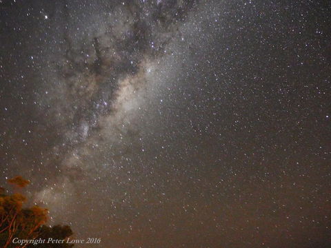 Riverside Retreat Chalets, Walpole - Darwin Holiday 26