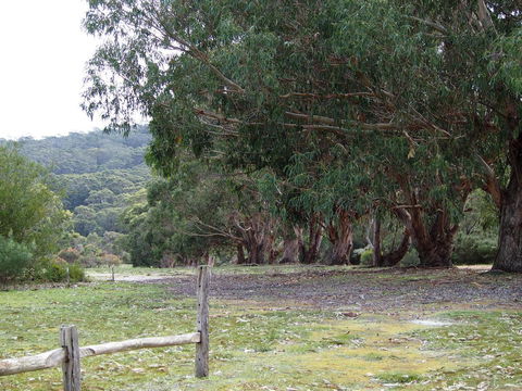 Riverside Retreat Chalets, Walpole - Darwin Holiday 17