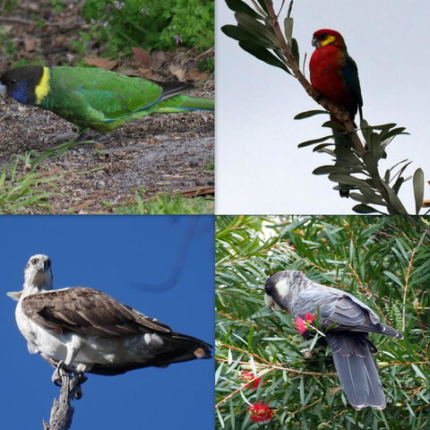 Riverside Retreat Chalets, Walpole - Darwin Holiday 24
