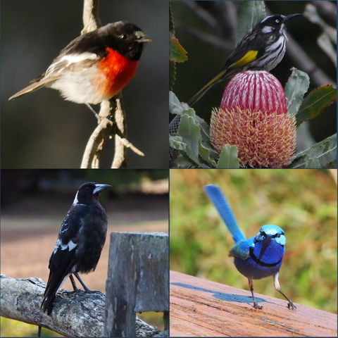 Riverside Retreat Chalets, Walpole - Darwin Holiday 23