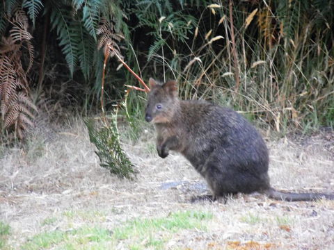 Riverside Retreat Chalets, Walpole - Darwin Holiday 22