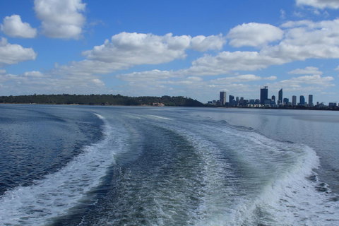 Midgard Cottage - Great Location & Close To Airport - Darwin Holiday 33