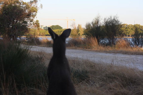 Midgard Cottage - Great Location & Close To Airport - Darwin Holiday 37