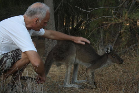 Midgard Cottage - Great Location & Close To Airport - Darwin Holiday 39