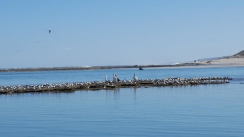 Kalbarri Seaview Villas - Darwin Holiday 33