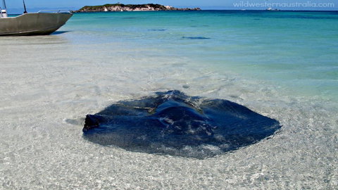 Turner Brook Chalet - Darwin Holiday 3