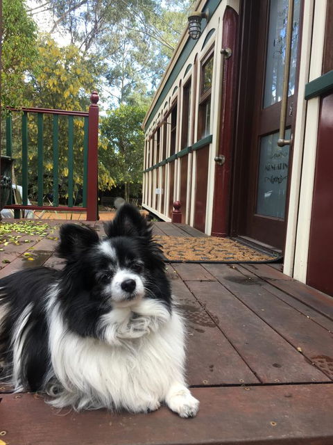 Quiet Escapes Cottages - Darwin Holiday 15