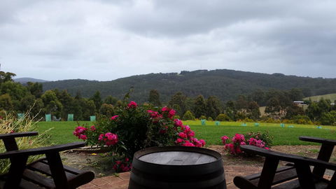 Karri Aura - Darwin Holiday 3