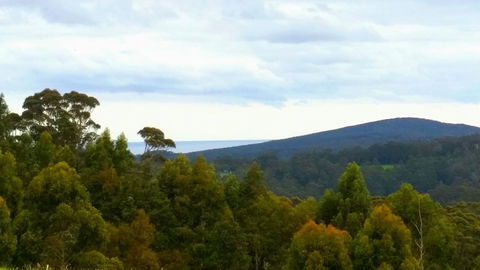 Karri Aura - Darwin Holiday 10