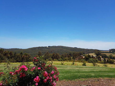 Karri Aura - Darwin Holiday 9