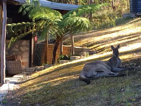 Kangaroo Valley Cottage - Darwin Holiday 3