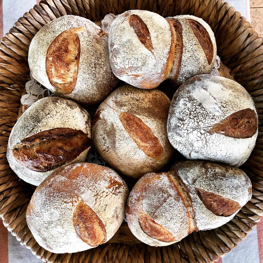 Dayton WA Darwin Holiday