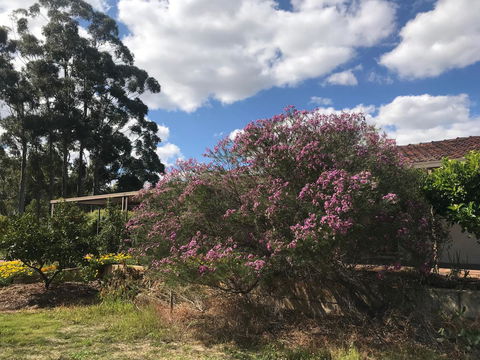 Cockburn Retreat Home æŸæ–¯æ‚ é–’æ°‘å®¿ - Darwin Holiday 0