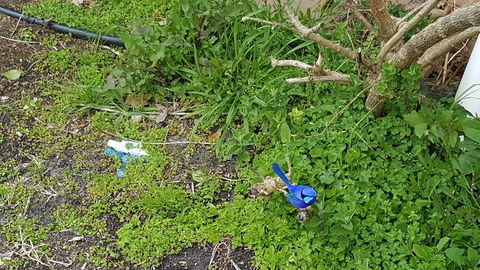 Abbivale Farm Cottage - Darwin Holiday 17