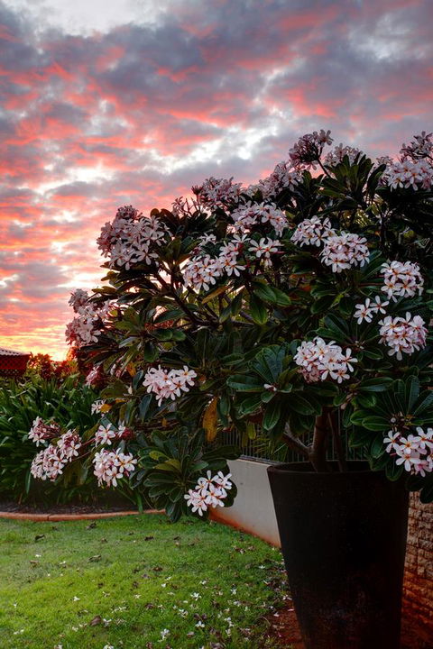Mantra Frangipani Broome - Darwin Holiday 35