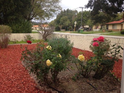 â˜… Stylish Family Home! â˜… - Darwin Holiday 1