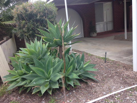 â˜… Stylish Family Home! â˜… - Darwin Holiday 2