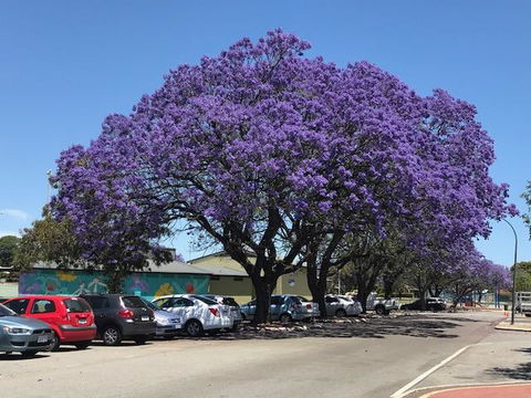 Gerring Court With Free 1 Car Bay Parking - Darwin Holiday 20