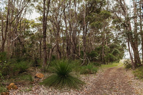 Margaret River Holiday Cottages - Darwin Holiday 31