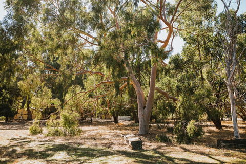 Margaret River Holiday Cottages - Darwin Holiday 16
